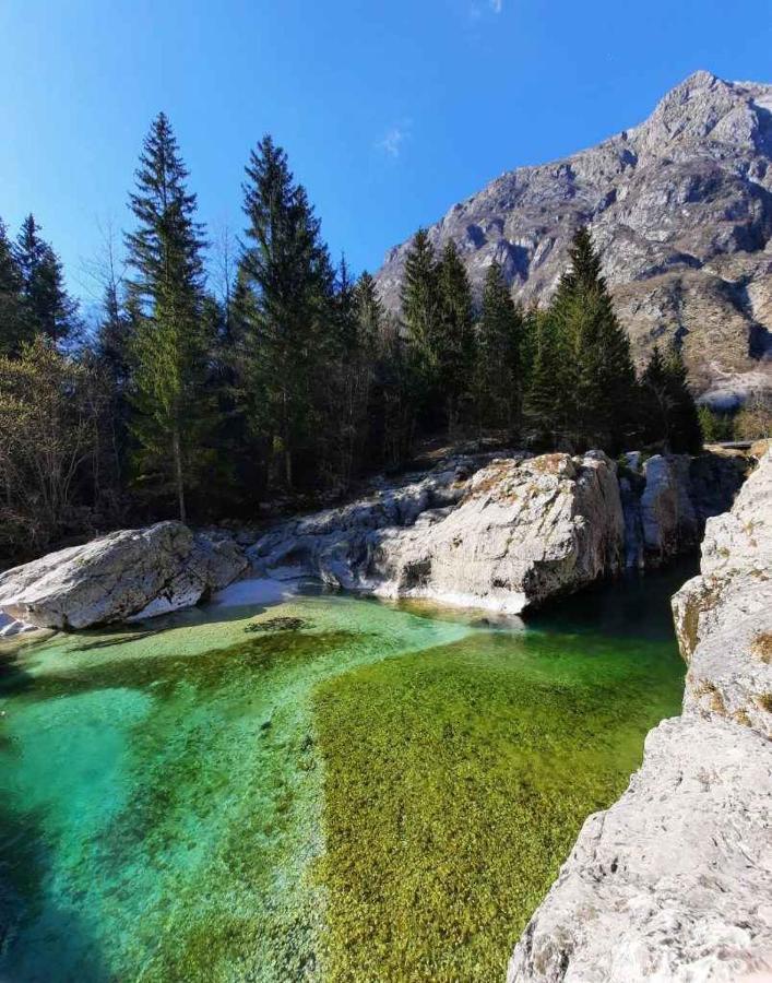 Apartment Pretner, Lepena Soča Exteriör bild