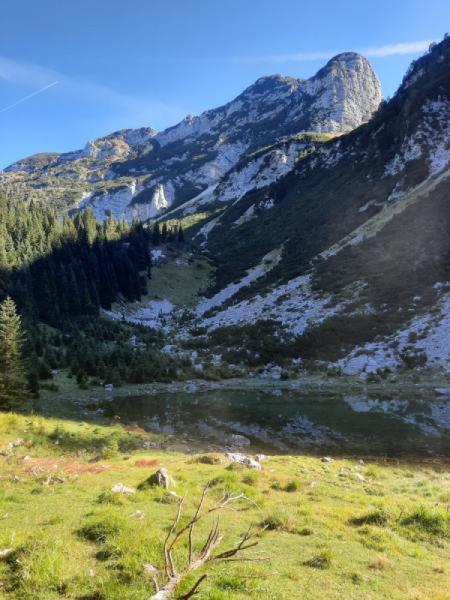 Apartment Pretner, Lepena Soča Exteriör bild