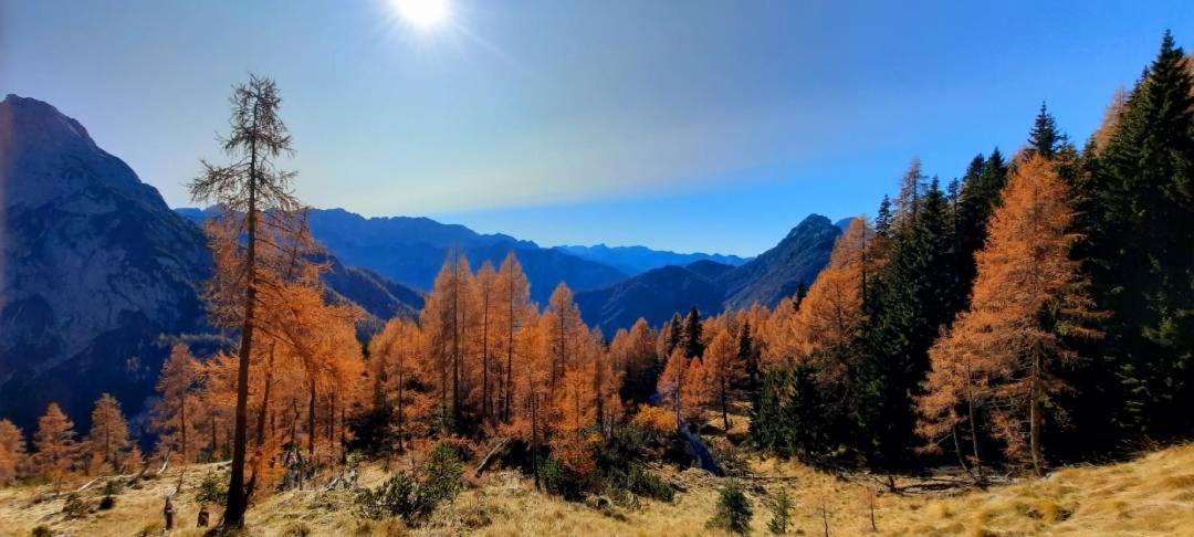 Apartment Pretner, Lepena Soča Exteriör bild