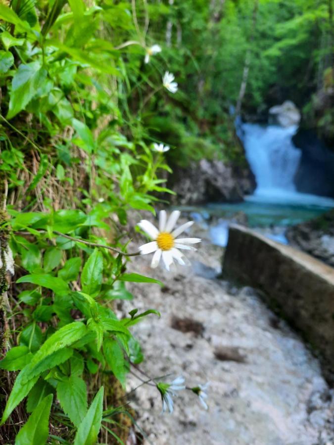 Apartment Pretner, Lepena Soča Exteriör bild