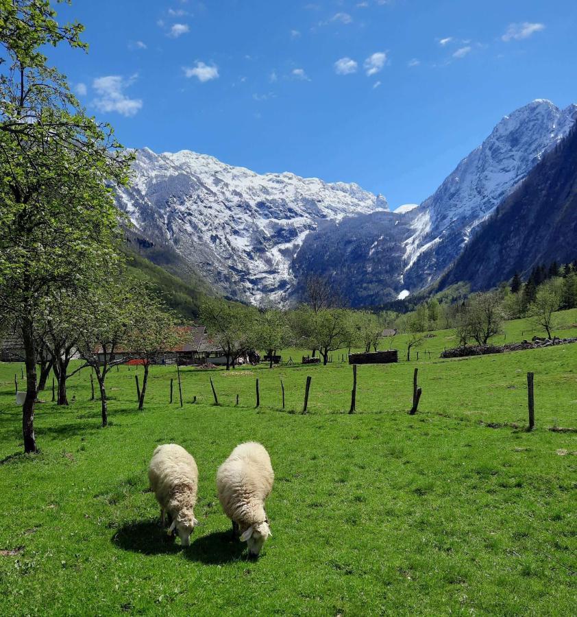Apartment Pretner, Lepena Soča Exteriör bild