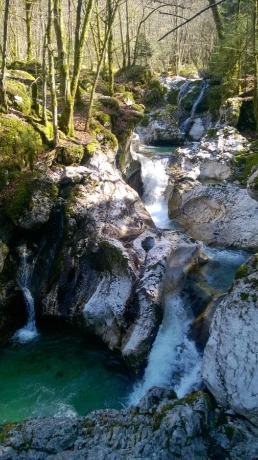 Apartment Pretner, Lepena Soča Exteriör bild